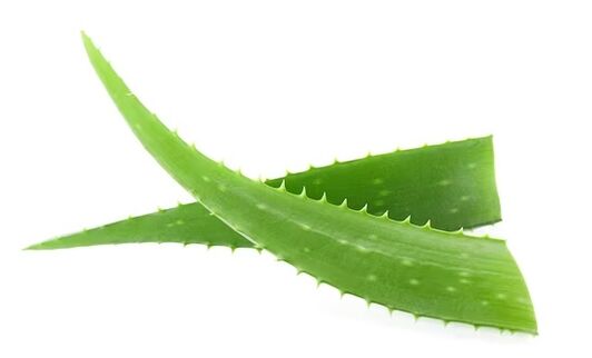 Fungent zawiera aloes